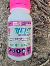 팜모닝 사과·영농일지 게시글 이미지