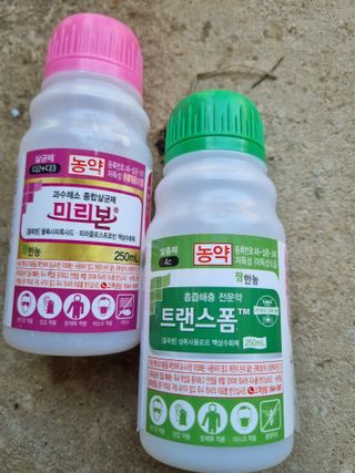 논산푸른팜님의 복숭아 · 영농일지 작성글 사진