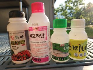 키다리님의 작성글 사진