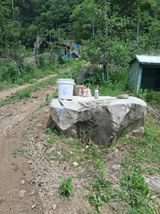 팜모닝 사과·영농일지 게시글 이미지