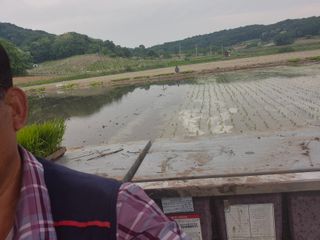 벼7893님의 벼 · 영농일지 작성글 사진