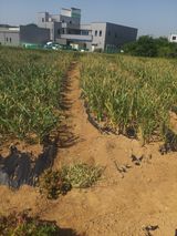 보기님의 작성글 사진