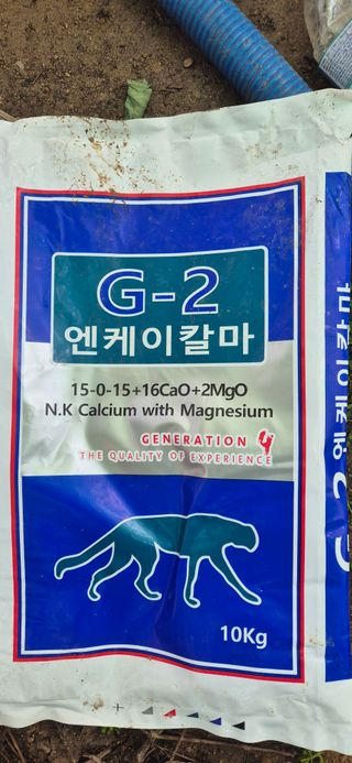 이화주님의 작성글 사진