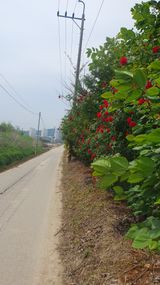 송완춘님의 작성글 사진