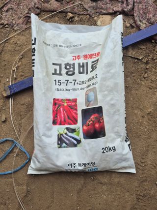 최인호님의 고추 · 영농일지 작성글 사진