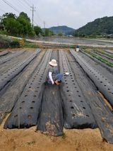 백영호님의 작성글 사진