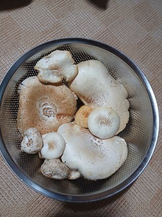 인생은 소풍처럼~님의 기타작물 · 영농일지 작성글 사진