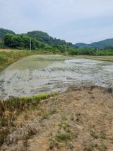 폭포수 아래님의 작성글 사진