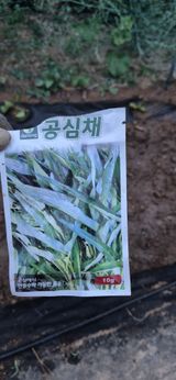 행복하게~님의 작성글 사진