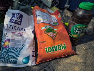 정일식님의 포도 · 영농일지 작성글 사진