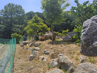 발해인님의 기타작물 · 영농일지 작성글 사진