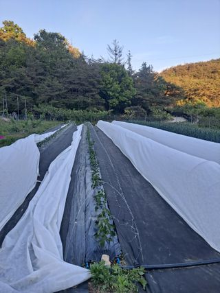 이한재님의 작성글 사진