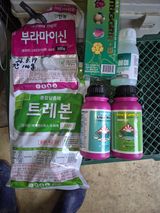 팜모닝 포도·영농일지 게시글 이미지
