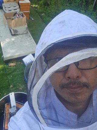 시금치11442님의 기타작물 · 영농일지 작성글 사진