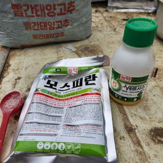 유원준님의 고추 · 영농일지 작성글 사진