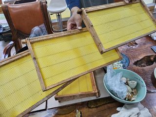 발해인님의 작성글 사진