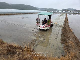 제-비님의 벼 · 영농일지 작성글 사진