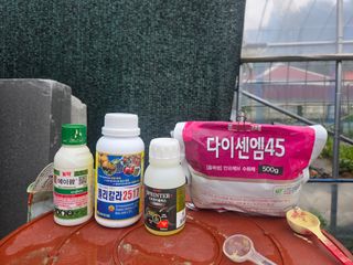 장두학님의 기타작물 · 영농일지 작성글 사진