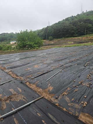 藝園님의 기타작물 · 영농일지 작성글 사진