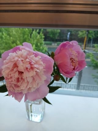 부자수박님의 기타작물 · 영농일지 작성글 사진