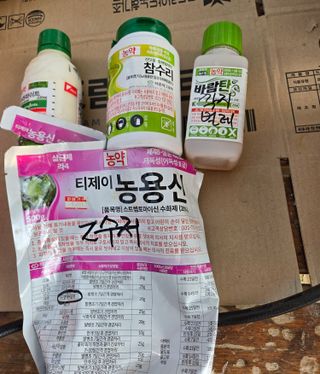 최종태님의 기타작물 · 영농일지 작성글 사진