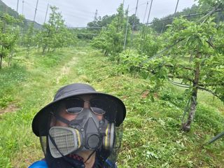 김중달님의 사과 · 영농일지 작성글 사진