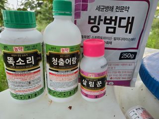 진곡댁님의 복숭아 · 영농일지 작성글 사진