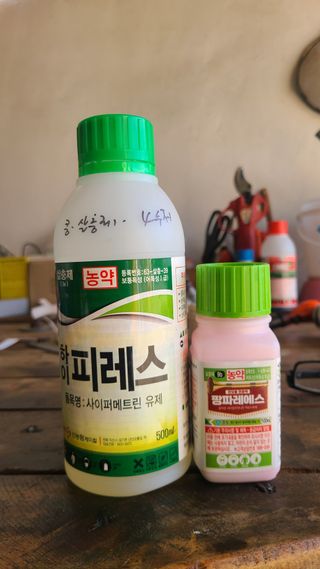 고춘석(고랑과이랑)님의 감자 · 영농일지 작성글 사진
