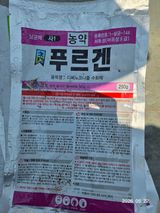 Sean님의 작성글 사진