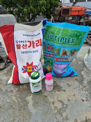 손영호님의 기타작물 · 영농일지 작성글 사진