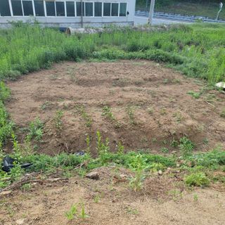 강원원주 유성훈56님의 기타작물 · 영농일지 작성글 사진