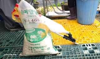 이장호님의 감자 · 영농일지 작성글 사진