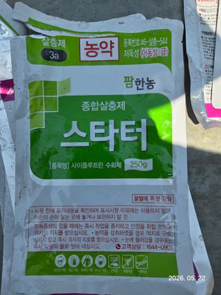 Sean님의 작성글 사진