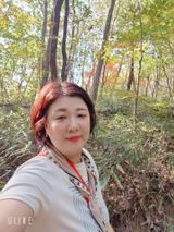 팜모닝 고추·영농일지 게시글 이미지