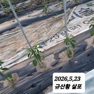 시민농장님의 기타작물 · 영농일지 작성글 사진