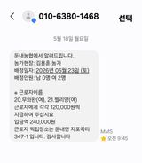 팜모닝 토마토·영농일지 게시글 이미지