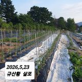 팜모닝 기타작물·영농일지 게시글 이미지