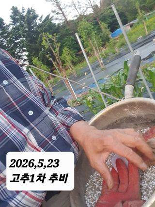시민농장님의 기타작물 · 영농일지 작성글 사진