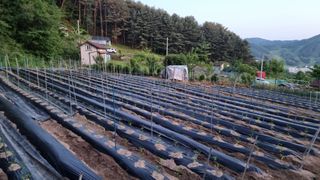 마음이부자인집님의 작성글 사진