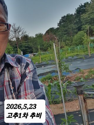 시민농장님의 기타작물 · 영농일지 작성글 사진