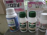 팜모닝 복숭아·영농일지 게시글 이미지