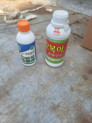서성환님의 기타작물 · 영농일지 작성글 사진