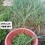 팜모닝 기타작물·영농일지 게시글 이미지