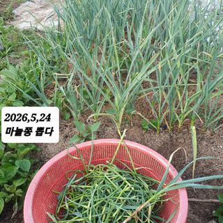 시민농장님의 작성글 사진