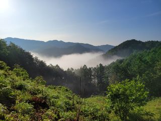 돈디아고(김덕수)님의 기타작물 · 영농일지 작성글 사진