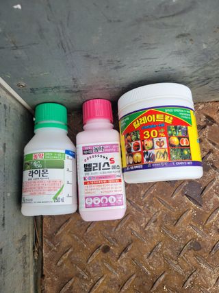 박병균님의 기타작물 · 영농일지 작성글 사진