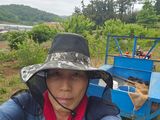 유자황칠님의 작성글 사진