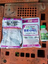 팜모닝 기타작물·영농일지 게시글 이미지