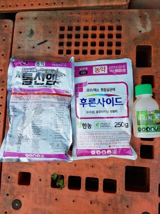 의성,군위 나상덕님의 작성글 사진