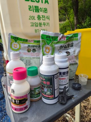전성숙 님의 고추 · 영농일지 작성글 사진